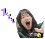 736337325
