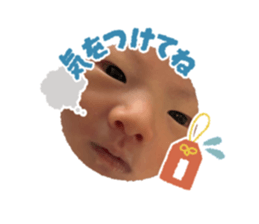 736345384