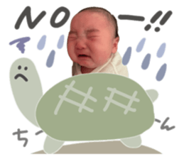 736354482
