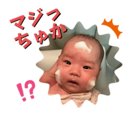 736355195