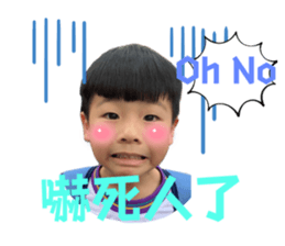 736362204