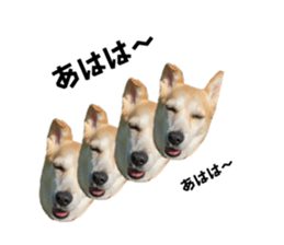 736374751