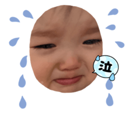 736374940