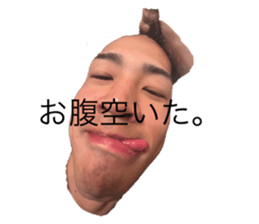 736376947