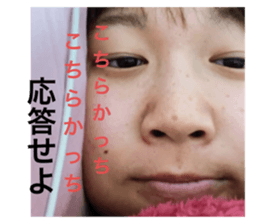 736378081