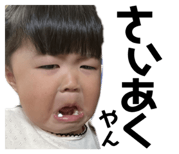736384550
