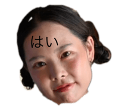 736384588