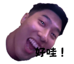 736385677