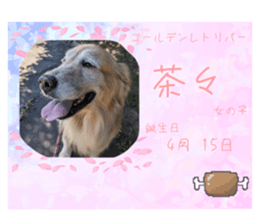 736394610