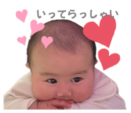 736397301