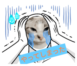 736404487