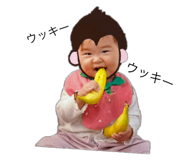 736405113