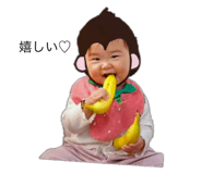 736405118