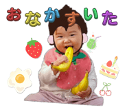 736405818