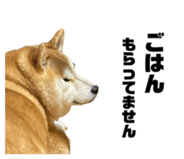 736428443