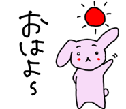 736436081