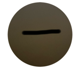 736446078