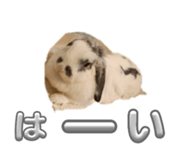 736446330