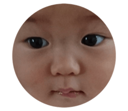 73644685