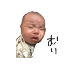 736458788