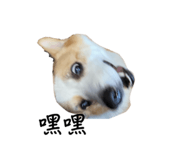 736470154