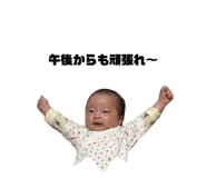 736472331
