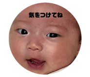 736472332