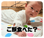 736472338