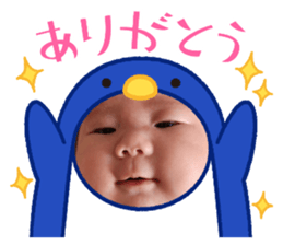 736484254