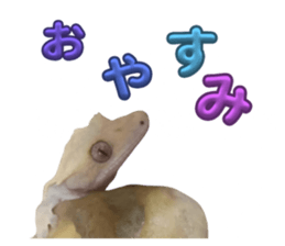 736484580