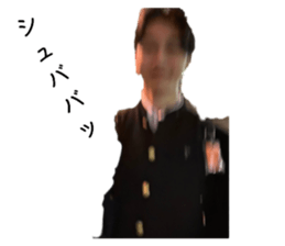 736513676