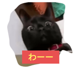 736515049
