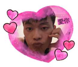 736516311