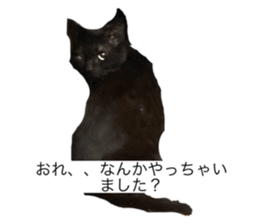 736522420