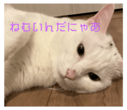 736525311