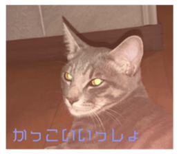 736525430