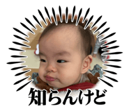 736525935