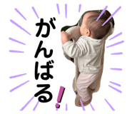 736525947