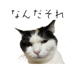 736526180