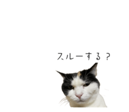 736526194