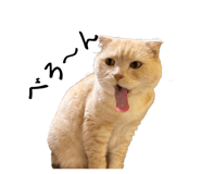 736529071
