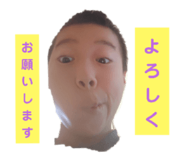 736531684