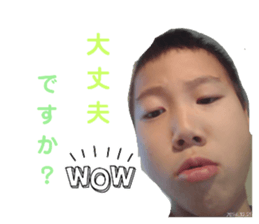 736531687