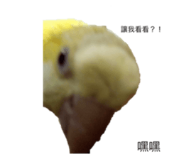 736532722