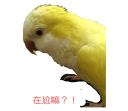736532724