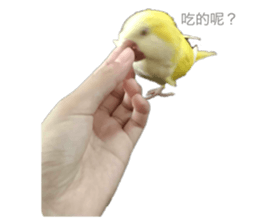 736532725