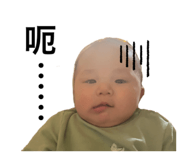 736532881
