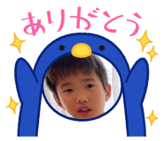 736533742