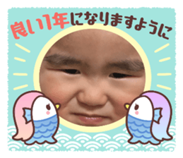 736534305