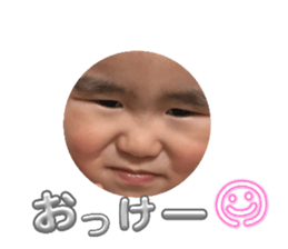 736534308
